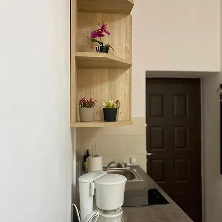 Ada's Luxury Apartament&studio - Old *
